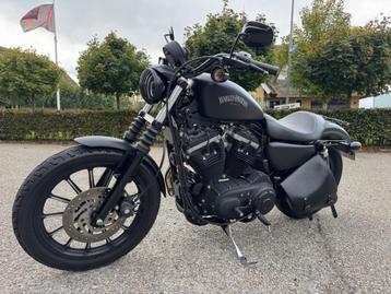Harley-davidson xl 883n iron sportster nightster  beschikbaar voor biedingen