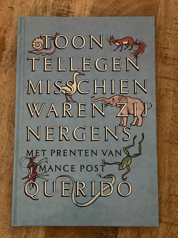 Misschien waren zij nergens - Toon Tellegen, Boeken, Literatuur, Gelezen, Nederland, Ophalen of Verzenden