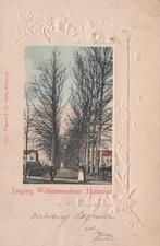 HELMOND - 1904 - Wilhelminalaan - vogellijnkaart, Verzenden, Voor 1920, Gelopen, Noord-Brabant