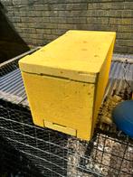 6-raams beienkast (nog maar 2 in voorraad), Bijen