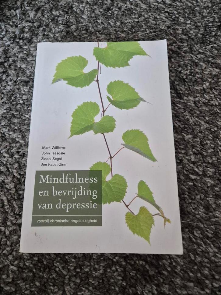 Mindfulness en bevrijding van depressie - boek, Boeken, Psychologie, Gelezen, Klinische psychologie, Ophalen of Verzenden