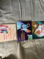 Sinterklaas boeken, Diversen, Sinterklaas, Ophalen of Verzenden, Zo goed als nieuw