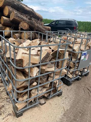 Elzen haardhout beschikbaar voor biedingen