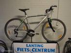 Bulls CROSS RACER  54  CM