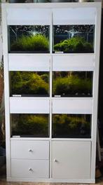 Aquariumstelling /garnalen, Dieren en Toebehoren, Vis