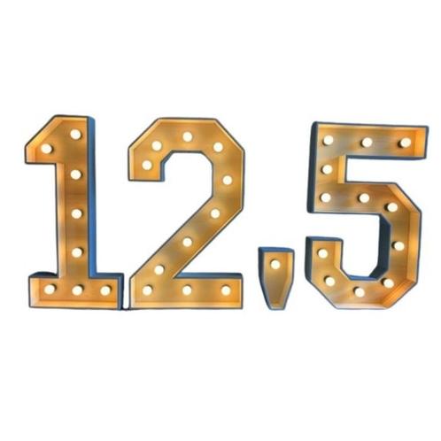 Lichtletters te huur- Jullie Bruiloft Persoonlijk & Stralend, Hobby en Vrije tijd, Feestartikelen | Verhuur, Nieuw, Geboorte of Huwelijk