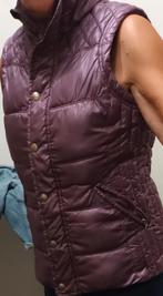 EDC bodywarmer, Kleding | Dames, Ophalen of Verzenden, Zo goed als nieuw