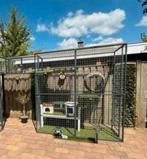 Mooie kattenren met tunnel, Ophalen