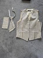 Gilet, stropdas en doek bostzak maat S Immediate Plastronset, Kleding | Heren, Overige Herenkleding, Ophalen of Verzenden, Gedragen