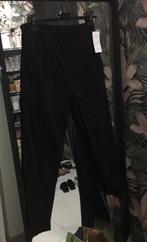 Nieuwe dames nette broek zwart pantelon 50/52, Ophalen of Verzenden, Nieuw, Maat 46/48 (XL) of groter, Zwart