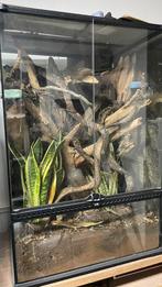Exo terra terrarium, Dieren en Toebehoren, Reptielen en Amfibieën | Toebehoren, Ophalen, Zo goed als nieuw