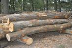 Stamhout, volle of halve vracht, Beuken, Vuren, Lariks, 6 m³ of meer, Ophalen, Overige houtsoorten, Stammen