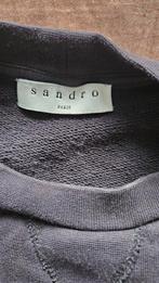 Sandro Paris Trui - Zo goed als nieuw!, Sandro, Ophalen of Verzenden, Zo goed als nieuw