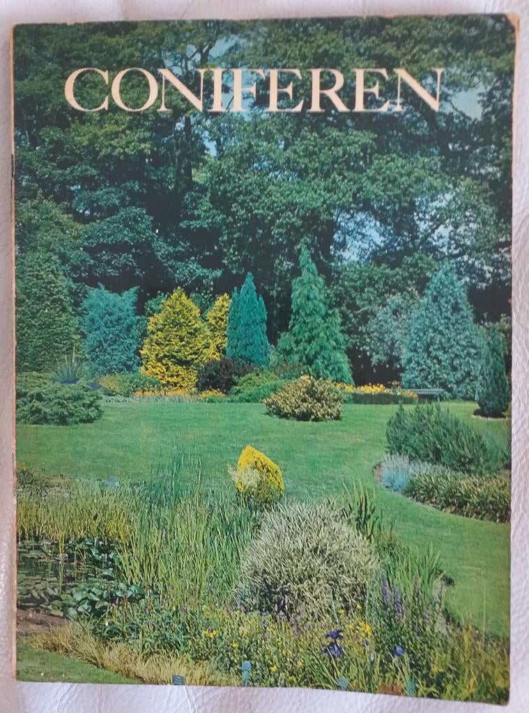 Coniferen. Plant Propaganda Holland (Boskoop), Tuin en Terras, Planten | Bomen, Bloeit niet, Halfschaduw, 100 tot 250 cm, Overige soorten