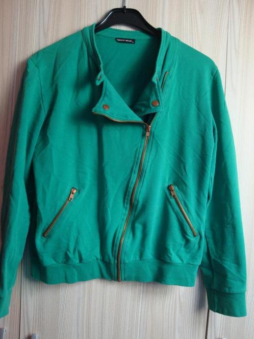 Groen vest met zilver kleurige glitter. Maat XL., Kleding | Dames, Truien en Vesten, Zo goed als nieuw, Maat 46/48 (XL) of groter