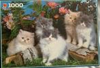 puzzel 1000 stukjes katten poezen kittens perzische poesjes, Hobby en Vrije tijd, Ophalen of Verzenden, 500 t/m 1500 stukjes, Zo goed als nieuw