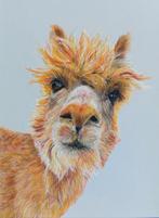 Alpaca pastelportret, Ophalen of Verzenden