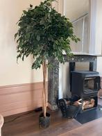 Kunststof kamerplant Ficus, Huis en Inrichting, Kamerplanten, Ophalen, Ficus, Volle zon, Minder dan 100 cm
