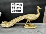 pauw (groot model), Ophalen, Woondecoratie eindhoven, Nieuw, Woondecoratie eindhoven