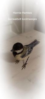 Genaaldvilte koolmees vogel opgezet schaapje kerst kerstbal, Ophalen of Verzenden