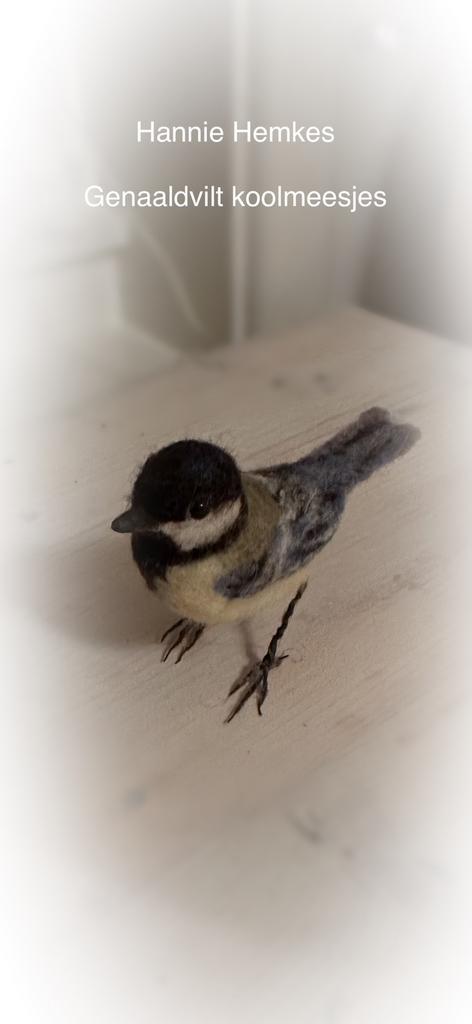 Genaaldvilte koolmees vogel opgezet schaapje kerst kerstbal, Antiek en Kunst, Curiosa en Brocante, Ophalen of Verzenden