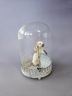 Taxidermy zang muisjes in stolp, Ophalen of Verzenden, Nieuw, Insect, Opgezet dier