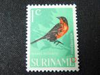 plaatfout  suriname  439 , ongebruikt., Postzegels en Munten, Verzenden, Postfris