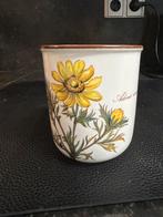 Botanica beker - potje Villeroy & Boch, Huis en Inrichting, Keuken | Servies, Overige typen, Ophalen of Verzenden, Zo goed als nieuw