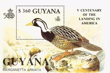 GUYANA 109 - Dieren: vogels (bergbeekeend) beschikbaar voor biedingen