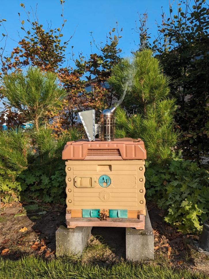 Apimaye Ergo Bijenkast / Dadant blatt incl. Buckfast volk, Dieren en Toebehoren, Insecten en Spinnen, Bijen