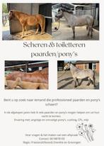Scheren van uw paard of pony