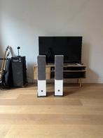 Dali Oberon 5 vloerstaande luidsprekers light oak, Zo goed als nieuw, 120 watt of meer, Front, Rear of Stereo speakers, Ophalen