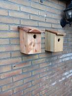 Nestkasten Pimpelmees, Koolmees en Mussen, Dieren en Toebehoren, Nieuw, Broedkooi of Kweekkooi, Hout, Ophalen