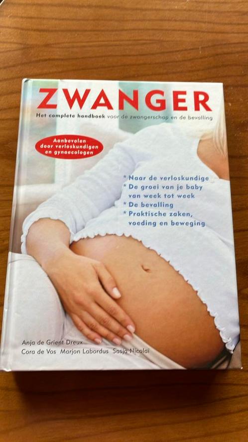Sasja Nicolai - Zwanger, Boeken, Zwangerschap en Opvoeding, Zo goed als nieuw, Zwangerschap en Bevalling, Ophalen of Verzenden