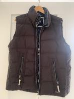 Bodywarmer GAASTRA, Kleding | Heren, Bodywarmers, Gaastra, Maat 48/50 (M), Bruin, Zo goed als nieuw