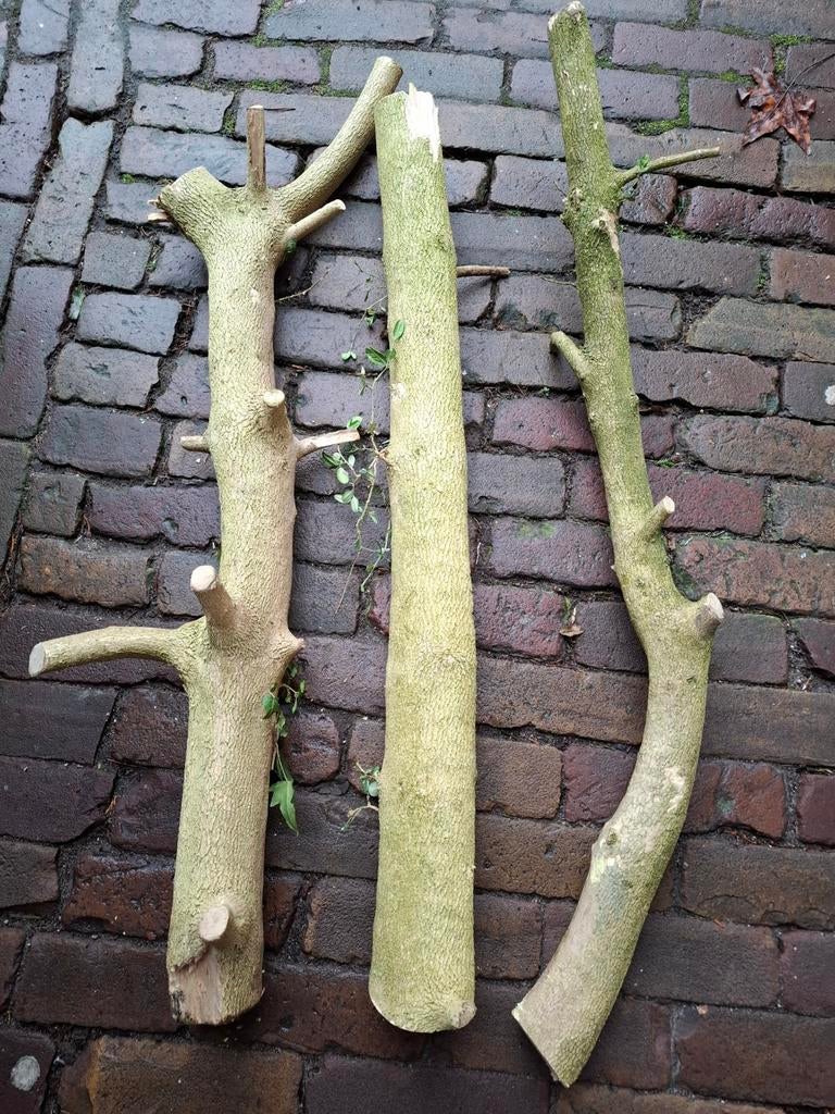 3 Stammetjes Buxushout, Doe-het-zelf en Verbouw, Hout en Planken, Ophalen, Gebruikt, Overige typen, 50 mm of meer