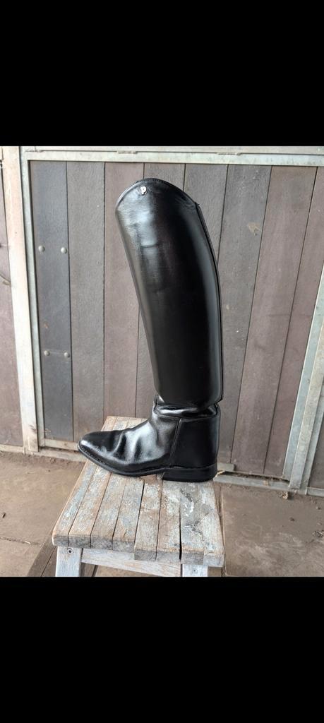 Petrie laarzen maat 41, Dieren en Toebehoren, Paardrijkleding, Zo goed als nieuw, Schoeisel, Dressuur, Ophalen of Verzenden