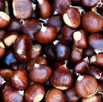 Verse Tamme Kastanjes - €2,50/kilo beschikbaar voor biedingen
