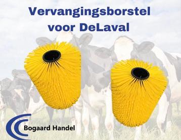 Vervangborstel voor de laval beschikbaar voor biedingen