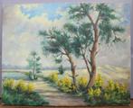Schilderij van bos landschap, Ophalen of Verzenden