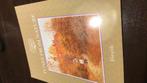 Walter Carroll tunes from nature.eenvoudige pianomuziek, Ophalen of Verzenden, Nieuw, Les of Cursus, Klassiek