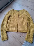 La Ligna Okergeel Vestje Wol Alpaca Maat S, Geel, Ophalen of Verzenden, Zo goed als nieuw, Maat 36 (S)