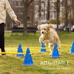 Huisdier Behendigheid Training - agility honden