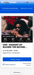 14 februari Cho 4 tickets beschikbaar staanplaats., Drie personen of meer, Februari