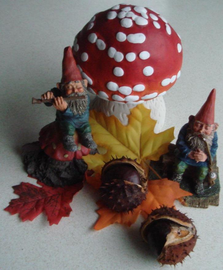 2 kleine Rien Poortvliet kabouter beeldjes samen € 7,50, Verzamelen, Poppetjes en Figuurtjes, Gebruikt, Ophalen of Verzenden