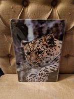 Nieuw Wandbord Panter 30x20cm - Metalen Decoratie, Ophalen of Verzenden, Nieuw