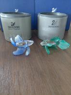 Swarovski siamese vechtende
Vissen, Verzamelen, Swarovski, Ophalen of Verzenden, Zo goed als nieuw