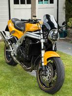 TRIUMPH DAYTONA T-595 (bj 1997), Motoren, Motoren | Triumph, Particulier, Naked bike
