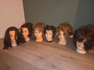 Kappers oefenhoofd. beschikbaar voor biedingen