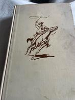 Arendsoog - J. Nowee - Vintage Boek, Boeken, Ophalen of Verzenden, Gelezen